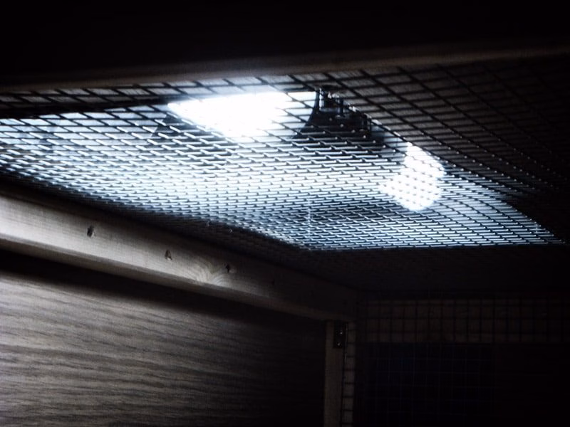 Vogellampe für Wellensittiche – UV-Licht für Gesundheit und Wohlbefinden 20 Zwei Vogellampen-Röhren (Bird Lamp) sind in einer Halterung auf dem Gitterdach eines Wellensittichkäfigs montiert