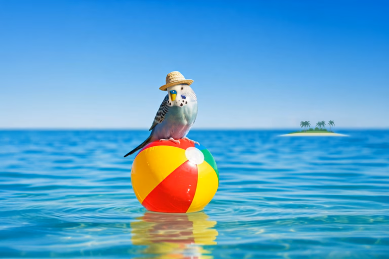 Vogelbetreuung im Urlaub – Tipps für eine sichere Lösung 24 Ein Wellensittich genießt seinen Urlaub am Meer, während er auf einem bunten Ball sitzt.