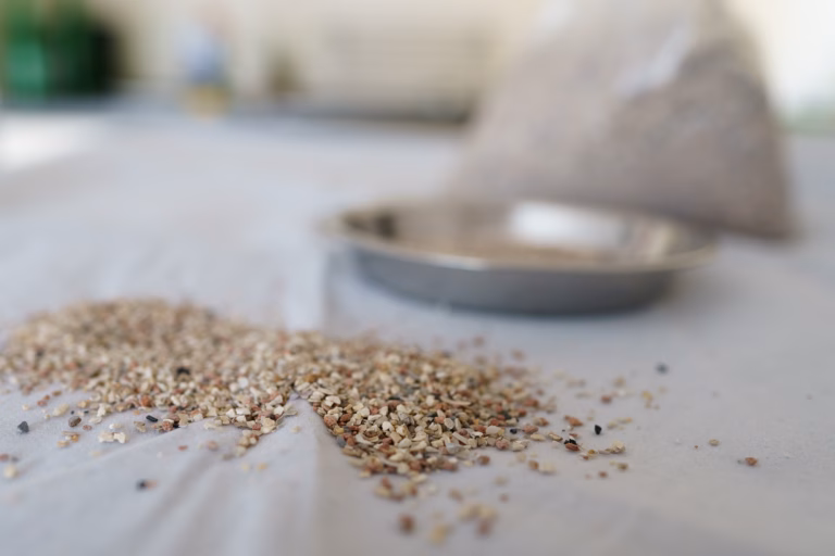 Vogelgrit: Nutzen, Arten & sichere Anwendung für Wellensittiche 19 grit fuer wellensittiche