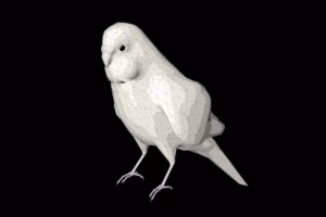 Wellensittich in 3D Modeling 18 Wellensittich in 3D