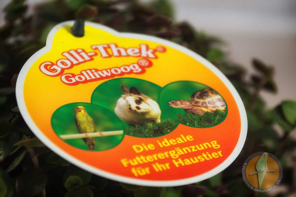 Golliwoog für Wellensittiche: Ein Leckerbissen voller Gesundheit 19 Verpackung der Golliwoog-Futterpflanze – tierfreundliche, ungiftige Grünpflanze für Wellensittiche und andere Haustiere