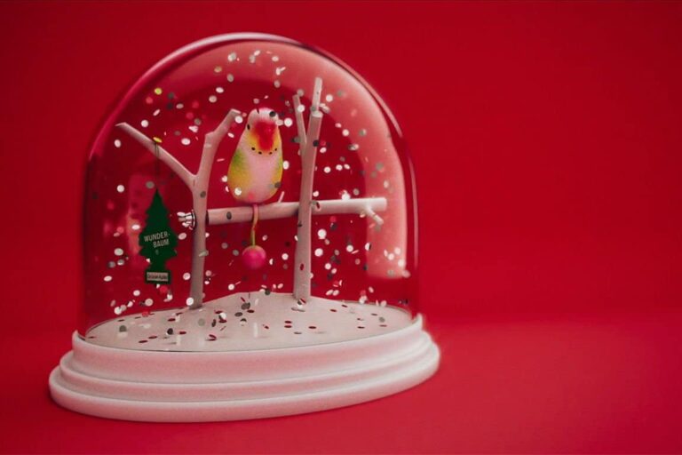 Haustiere sind keine Weihnachtsgeschenke 25 Wellensittich als Weihnachtsgeschenk