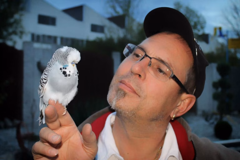 Vogelzüchter in Donzdorf: Qualität, Haltung und aktuelle Anlaufstellen 21 Vogelzüchter in Donzdorf