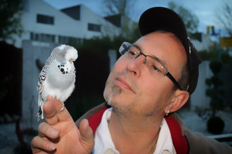 Vogelzüchter in Donzdorf: Qualität, Haltung und aktuelle Anlaufstellen 18 Vogelzüchter in Donzdorf
