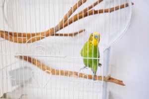 Vogelkäfig Wellensittich