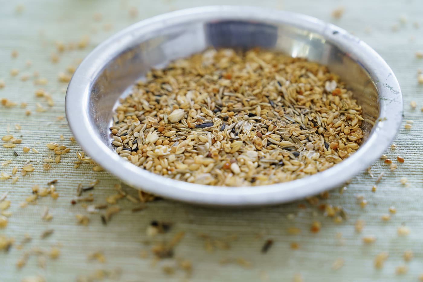 Spelzen – warum du leere Körnerhülsen regelmäßig entfernen solltest 19 Nahaufnahme eines Futternapfs mit leeren Körnerhülsen von Wellensittichen