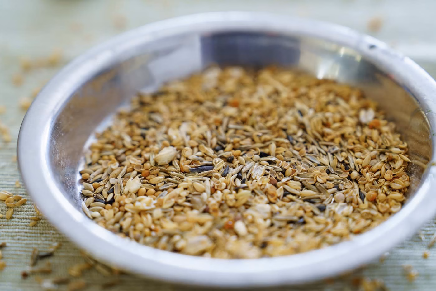 Leere Spelzen und Samenschalen im Futternapf eines Wellensittichs nach der Fütterung