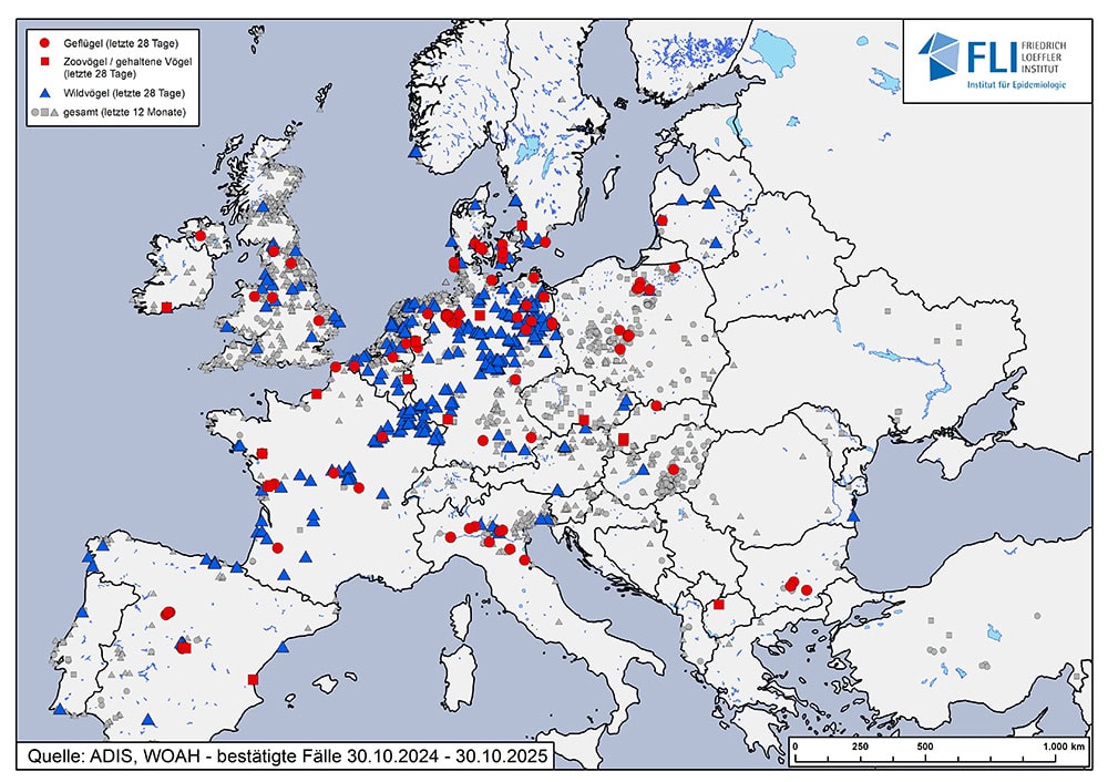 Vogelgrippe & Stallpflicht: Was bedeutet das für Wellensittich-Halter wirklich? 18 Karte Europas mit bestätigten Vogelgrippe-Fällen 2024/2025: Ausbrüche bei Geflügel, gehaltenen Vögeln und Wildvögeln, dargestellt durch rote Kreise, rote Quadrate und blaue Dreiecke.