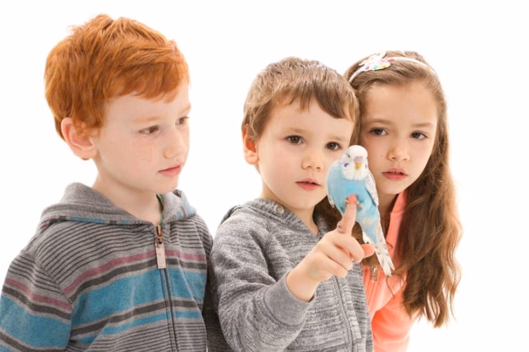 Welttierschutztag 2017: Tierschutz beginnt im Kinderzimmer 20 Kinder mit blauen Wellensittich