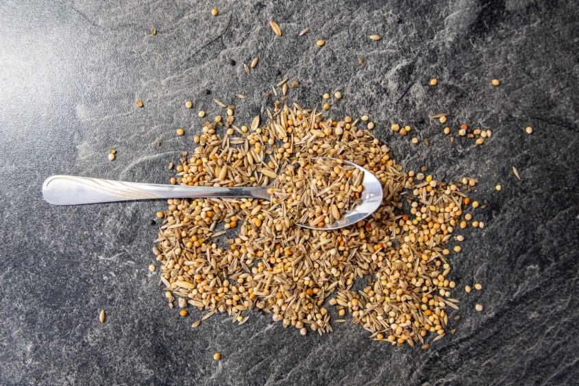 Futtermenge richtig dosieren: Wellensittichfutter mit dem Löffel abmessen Teelöffel mit Wellensittichfutter – Futtermenge in Gramm abmessen