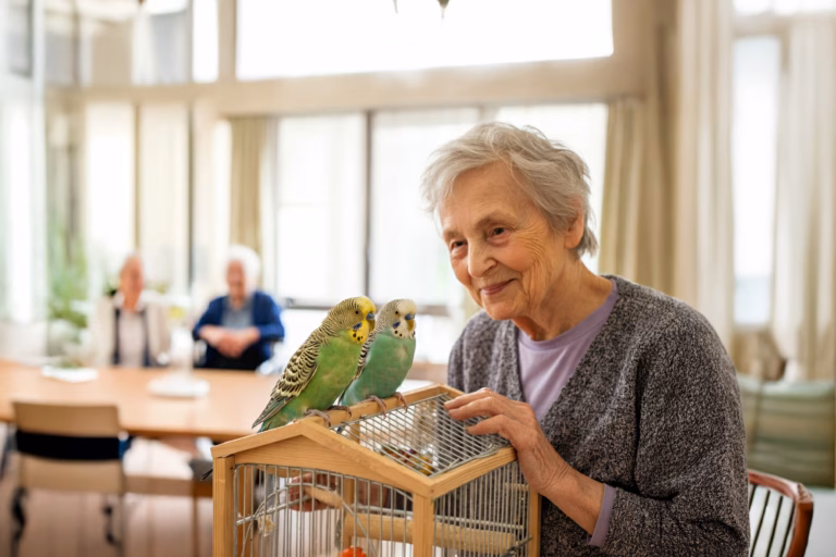 Wellensittiche für Senioren: Der ideale Begleiter im Alter 25 Seniorin im Altersheim mit zwei Wellensittichen auf einem Vogelkäfig.