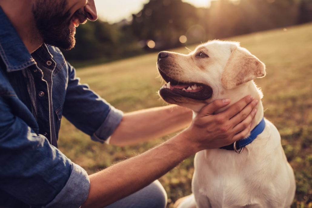 Heimtiere machen happy: Über die positiven Einflüsse von tierischen Begleitern 18 Glücklicher Hund mit Besitzer – Heimtiere stärken die Bindung zwischen Mensch und Tier